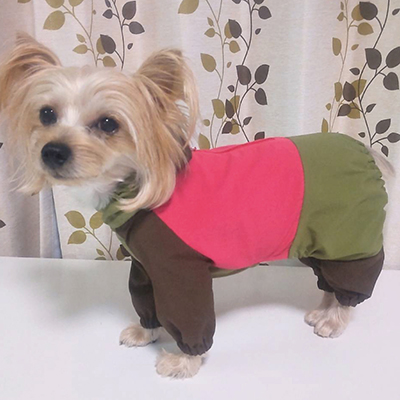 犬服教室