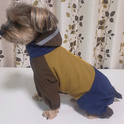 犬服教室