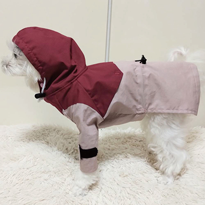 犬服教室