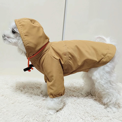 犬服教室