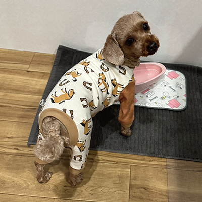 犬服教室