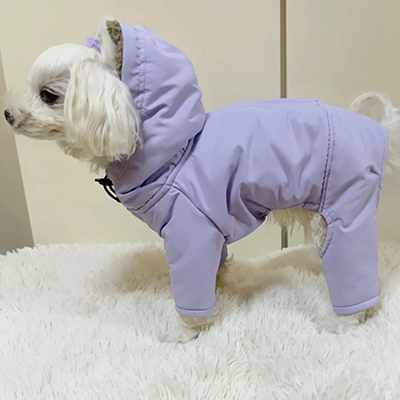 犬服教室