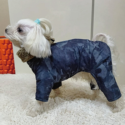 犬服教室