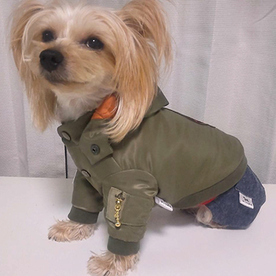 犬服教室